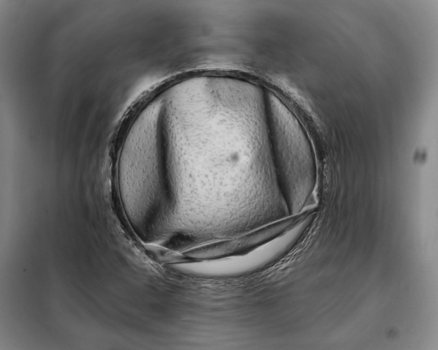 X0000098131408200805011311