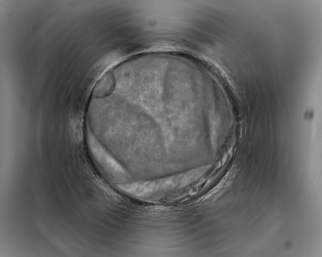 X0000098131409200805011311