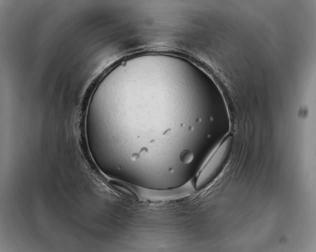 X0000098131410200805011311