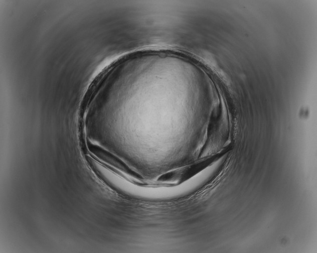 X0000098131412200805011311