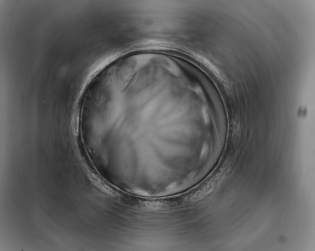 X0000098131413200805011311