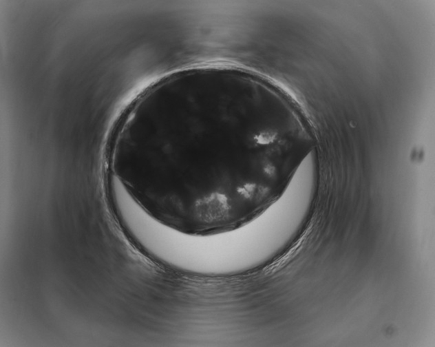 X0000098131414200805011311