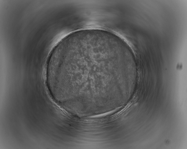 X0000098131415200805011311