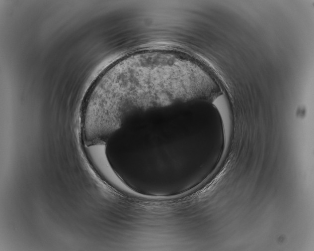 X0000098131418200805011311