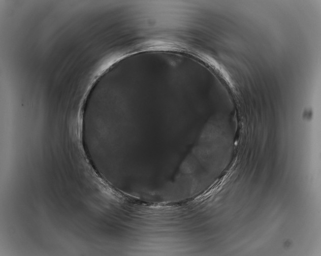 X0000098131419200805011311