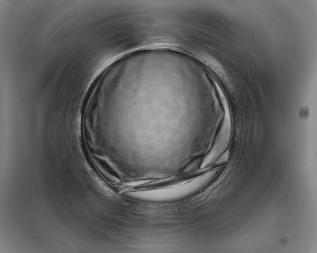 X0000098131420200805011311