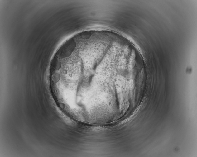 X0000098131421200805011311
