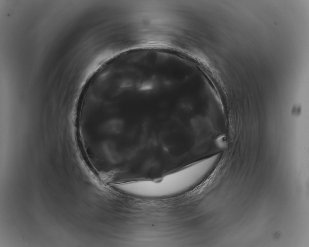 X0000098131422200805011311