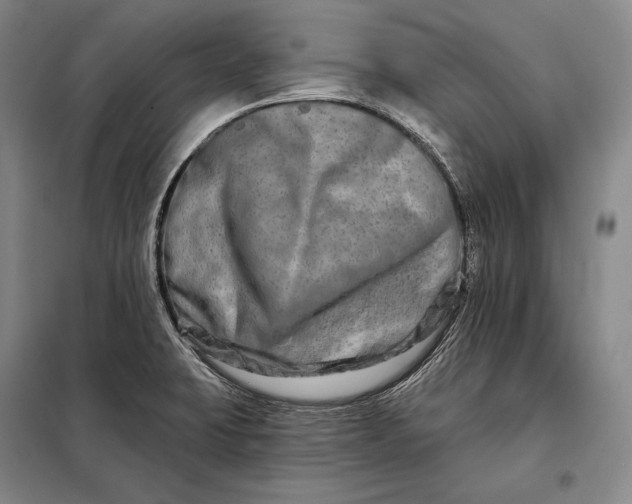 X0000098131423200805011311