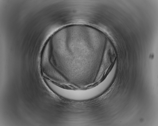 X0000098131424200805011311