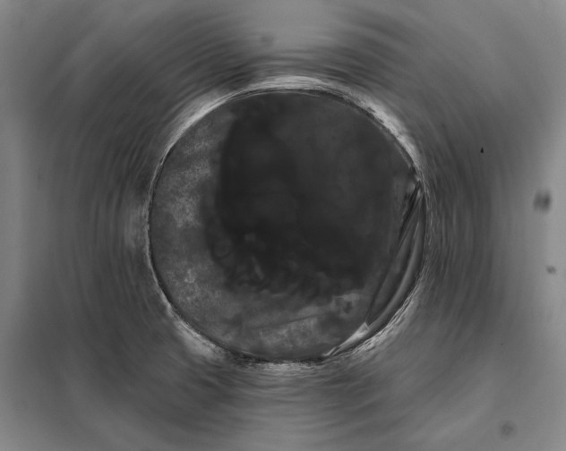 X0000098131425200805011311