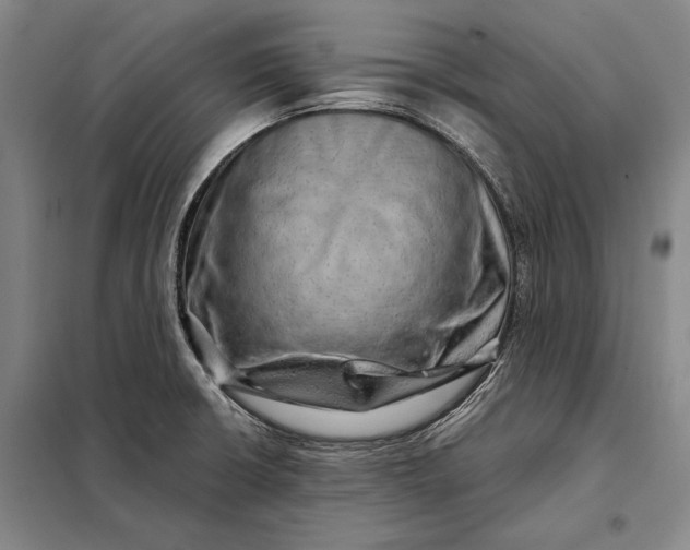 X0000098131426200805011311