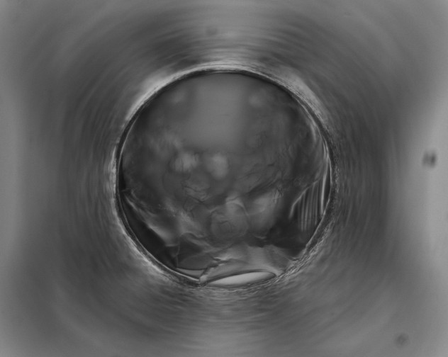 X0000098131428200805011311