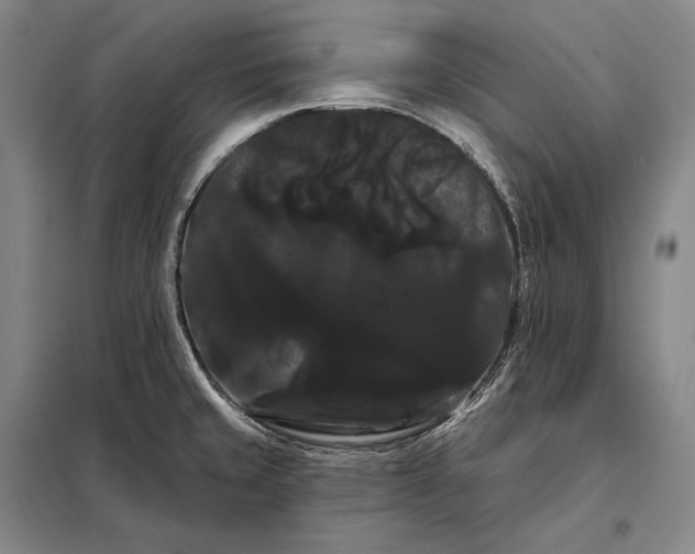 X0000098131429200805011311