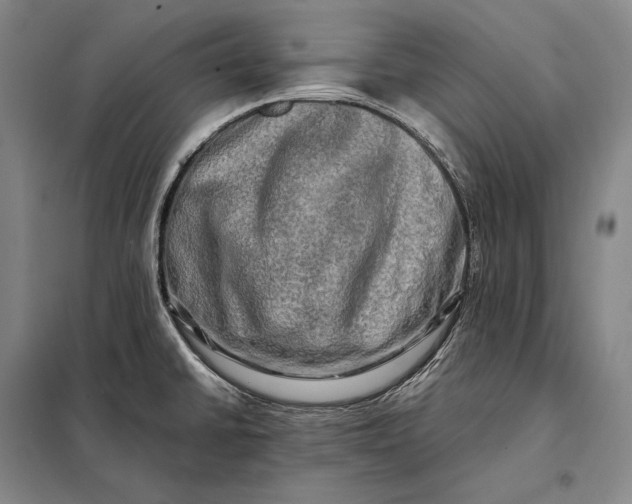 X0000098131430200805011311