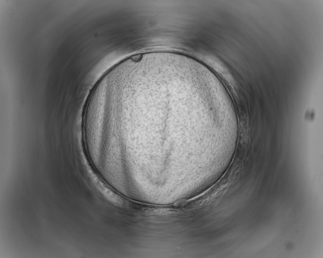 X0000098131431200805011311