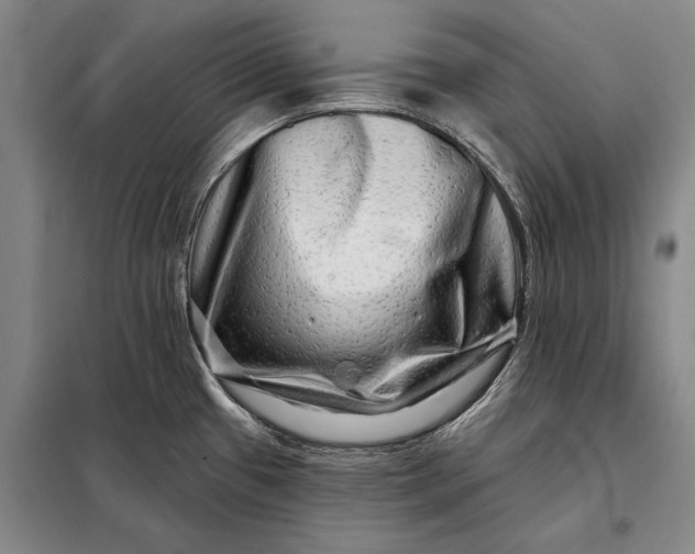 X0000098131433200805011311