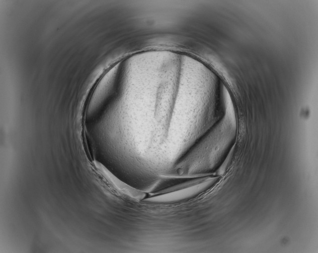 X0000098131435200805011311