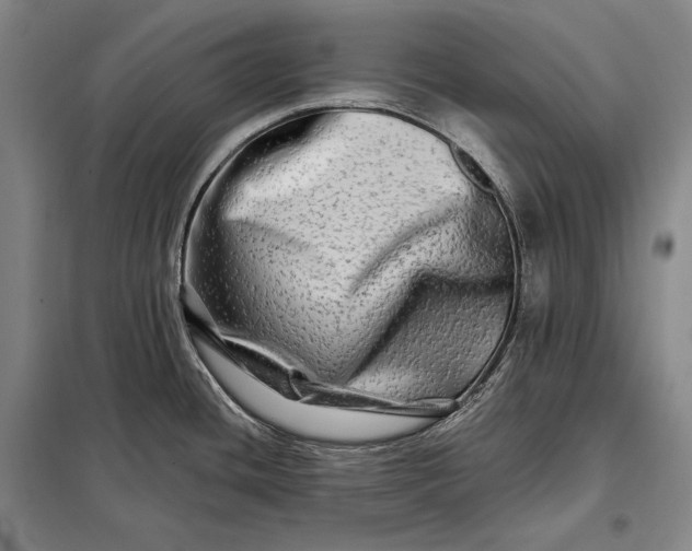 X0000098131436200805011311