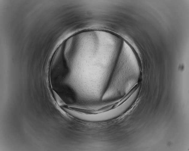 X0000098131437200805011311