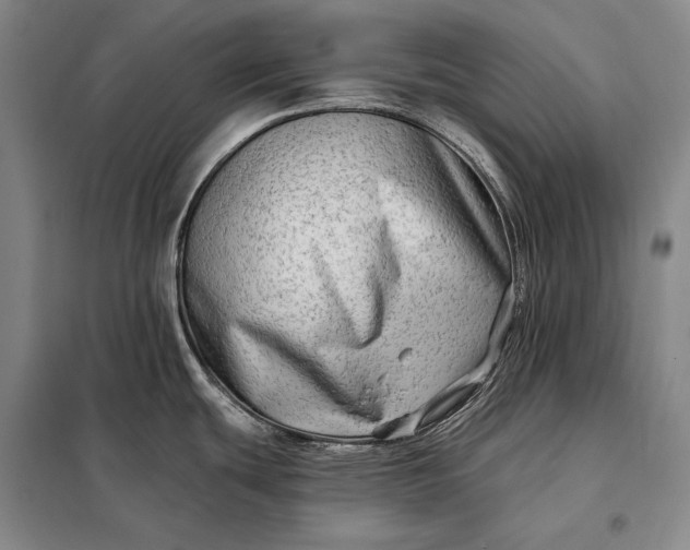 X0000098131439200805011311