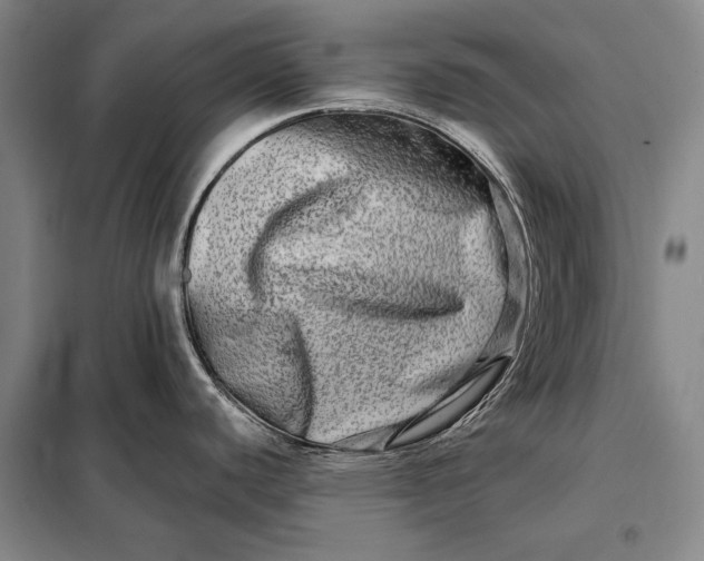 X0000098131440200805011311