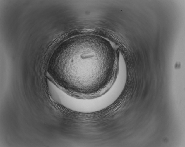 X0000098131441200805011310