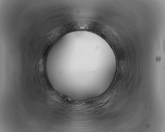 X0000098131442200805011310