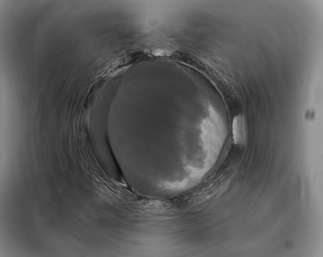 X0000098131443200805011310