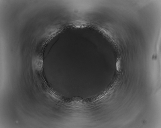 X0000098131444200805011310