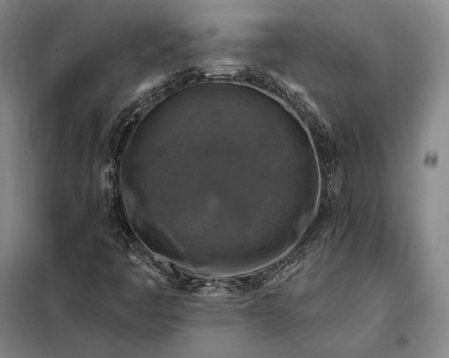 X0000098131445200805011310