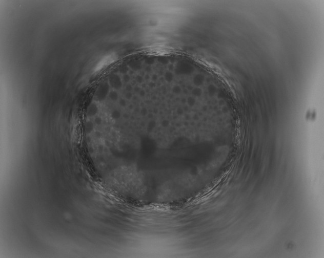 X0000098131446200805011310