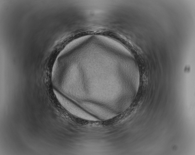 X0000098131447200805011310