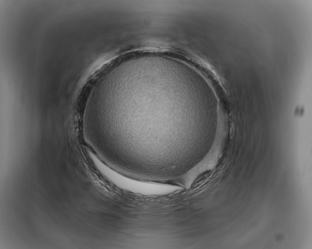 X0000098131448200805011310