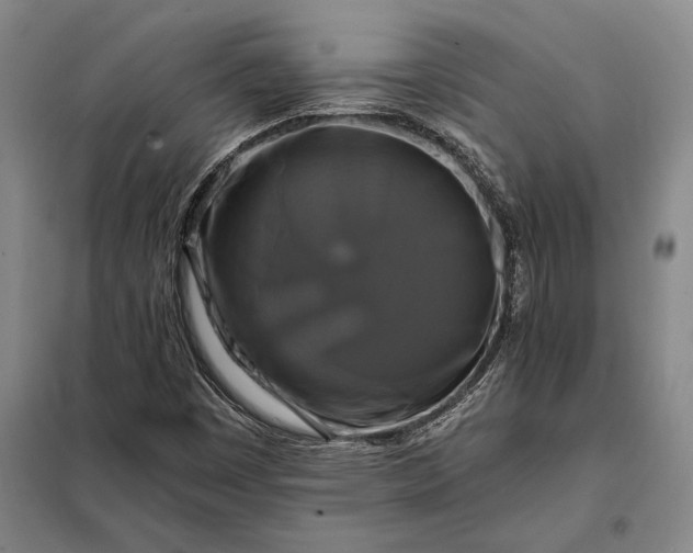 X0000098131449200805011310