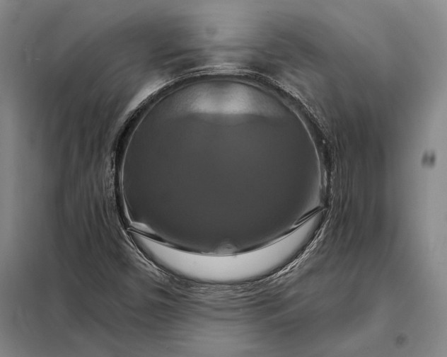 X0000098131450200805011310