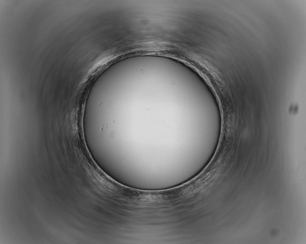 X0000098131451200805011310