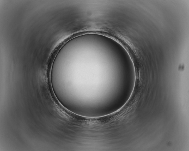 X0000098131452200805011310