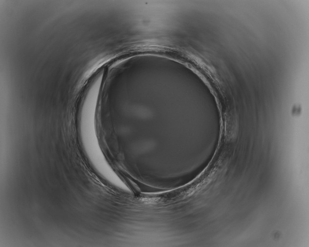 X0000098131453200805011310