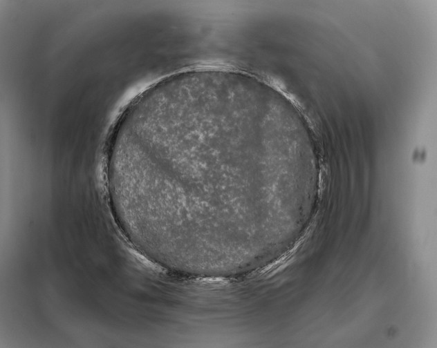 X0000098131454200805011310