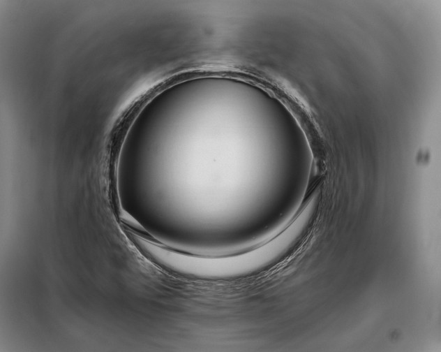 X0000098131456200805011310