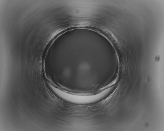 X0000098131457200805011310