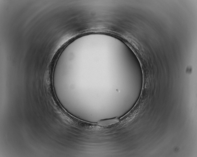 X0000098131458200805011310
