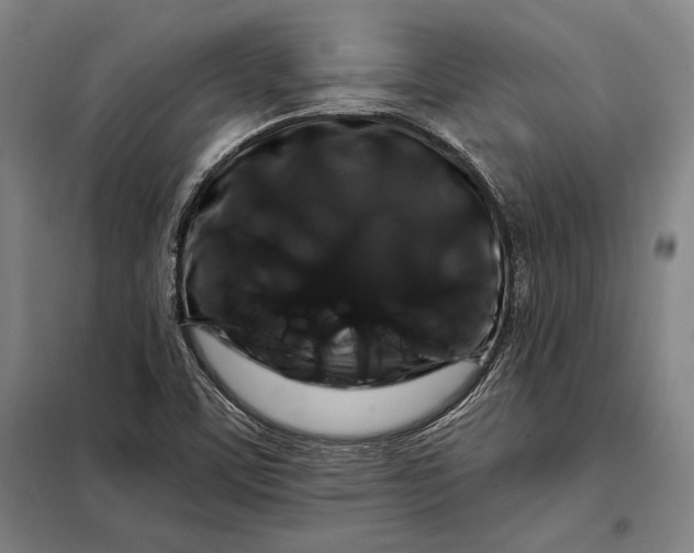 X0000098131459200805011310