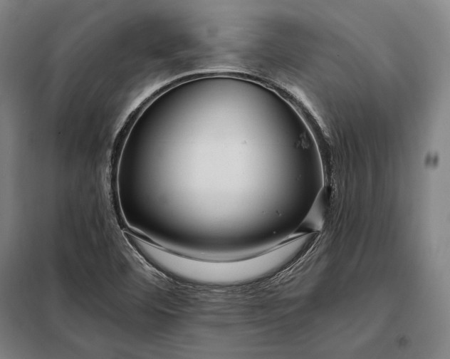 X0000098131460200805011310