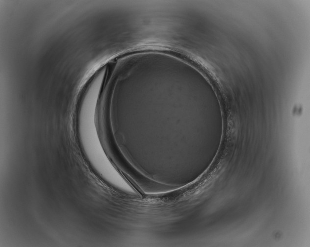 X0000098131461200805011310