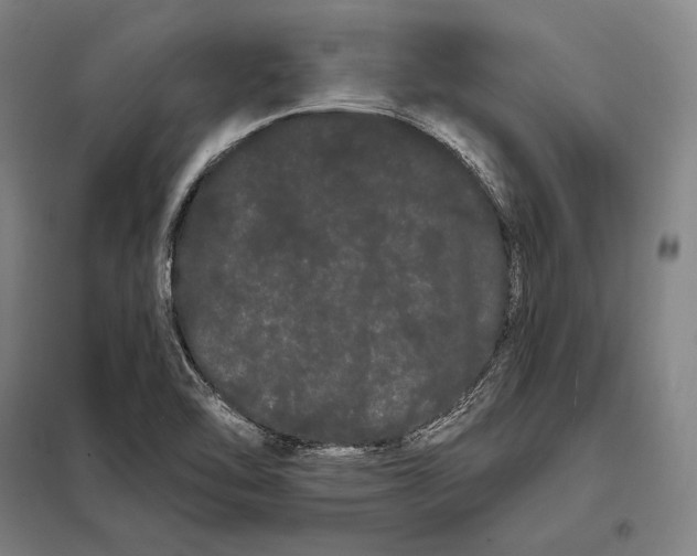 X0000098131462200805011310