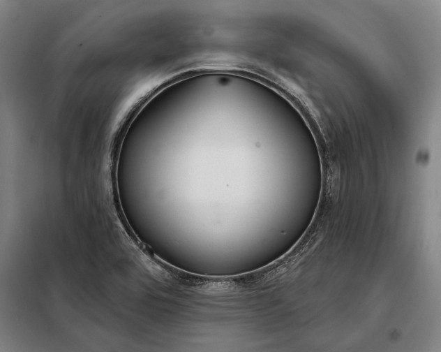 X0000098131464200805011310