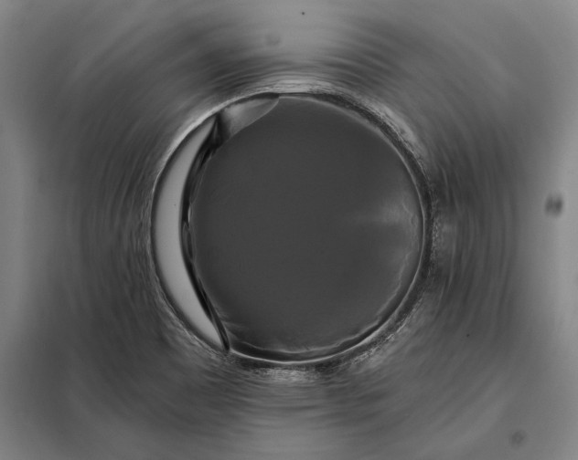 X0000098131465200805011310