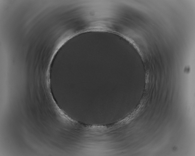 X0000098131466200805011310